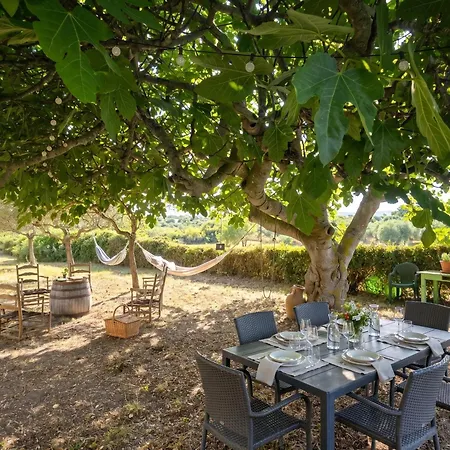 Willa Miramare Peaceful Oasis With Garden, Pool And Sea View In *