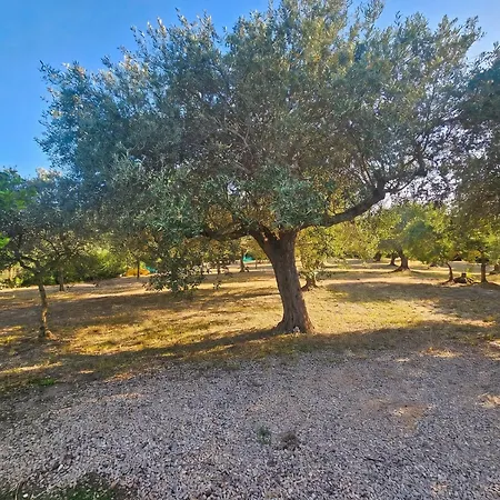 Miramare Peaceful Oasis With Garden, Pool And Sea View In Alghero